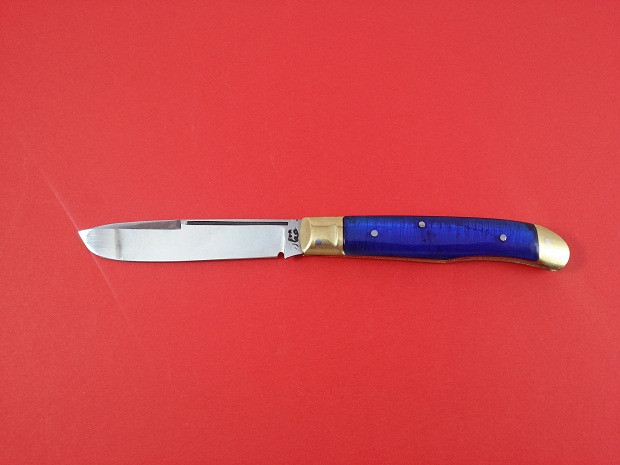 چاقوی میوه خوری بزرگ دسته آبی