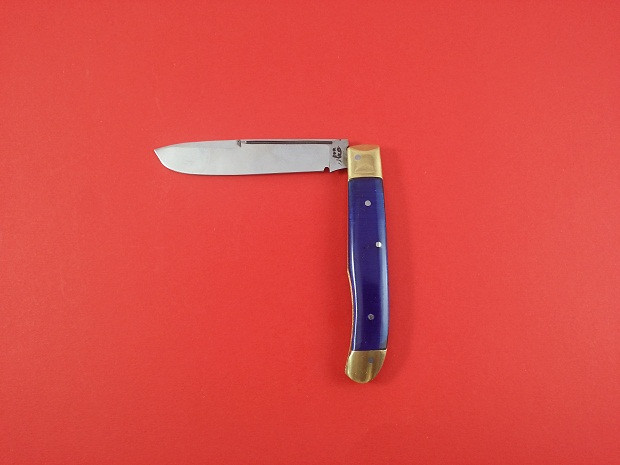 چاقوی میوه خوری بزرگ دسته آبی