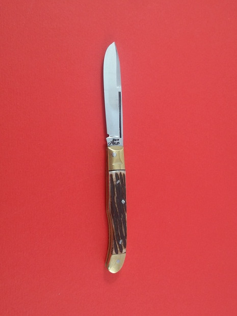 چاقوی میوه خوری بزرگ دسته چوبی